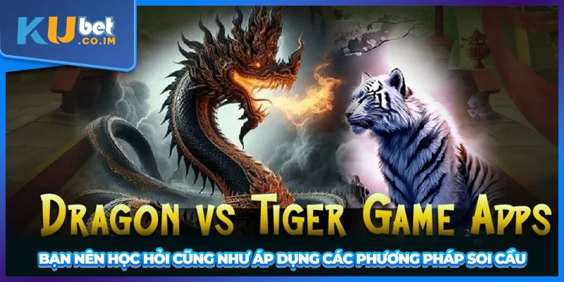 Bạn nên học hỏi cũng như áp dụng các phương pháp soi cầu