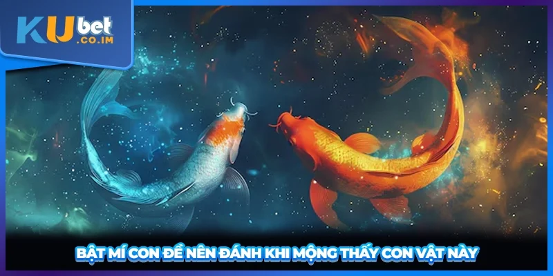 Bật mí con đề nên đánh khi mộng thấy con vật này