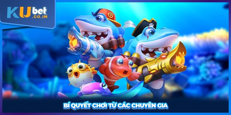 Bí quyết chơi từ các chuyên gia