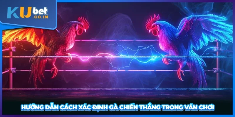 Hướng dẫn cách xác định gà chiến thắng trong ván chơi