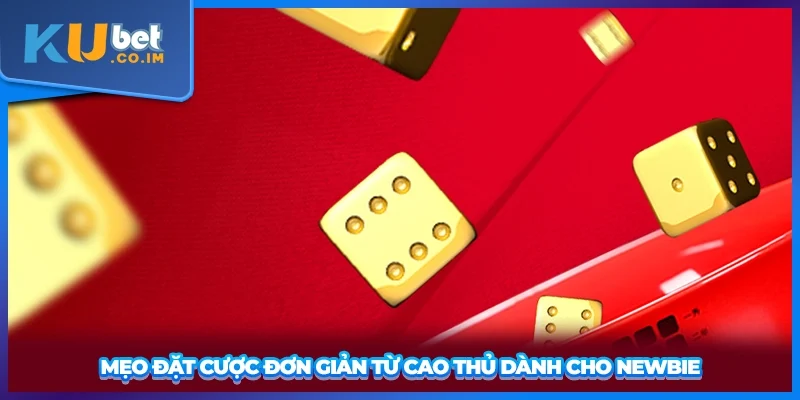 Mẹo đặt cược đơn giản từ cao thủ dành cho newbie
